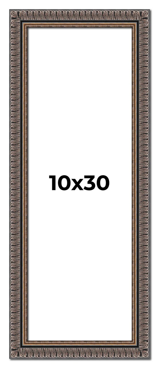 Panoramic Ornate Black Picture Frame - UV Acrylic, Foam Board Backing, Hanging Hardware